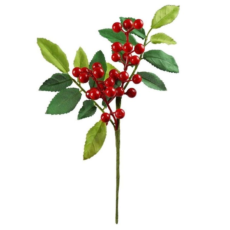 Arpex, zimowa gałązka z jagodami