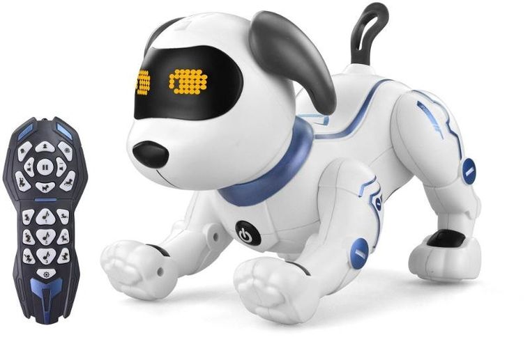 Artyk, pies, robot zdalnie sterowany, do programowania