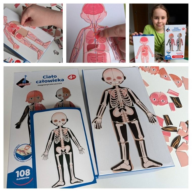 Askato, Genialny dzieciak, Moje ciało, puzzle magnetyczne, 108 elementów