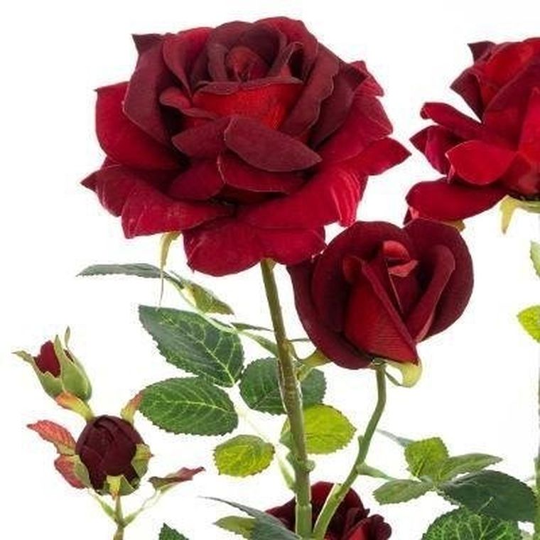 Atmosphera, sztuczna roślina w donicy, krzew róży, 74 cm, czerwona