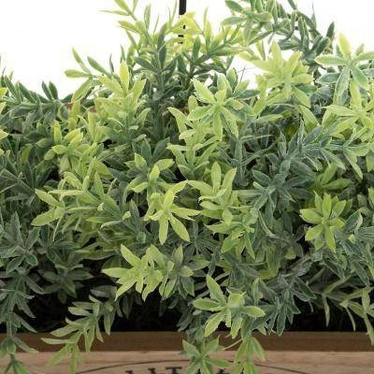 Atmosphera, sztuczne rośliny w skrzynce z uchwytem, 43-24 cm