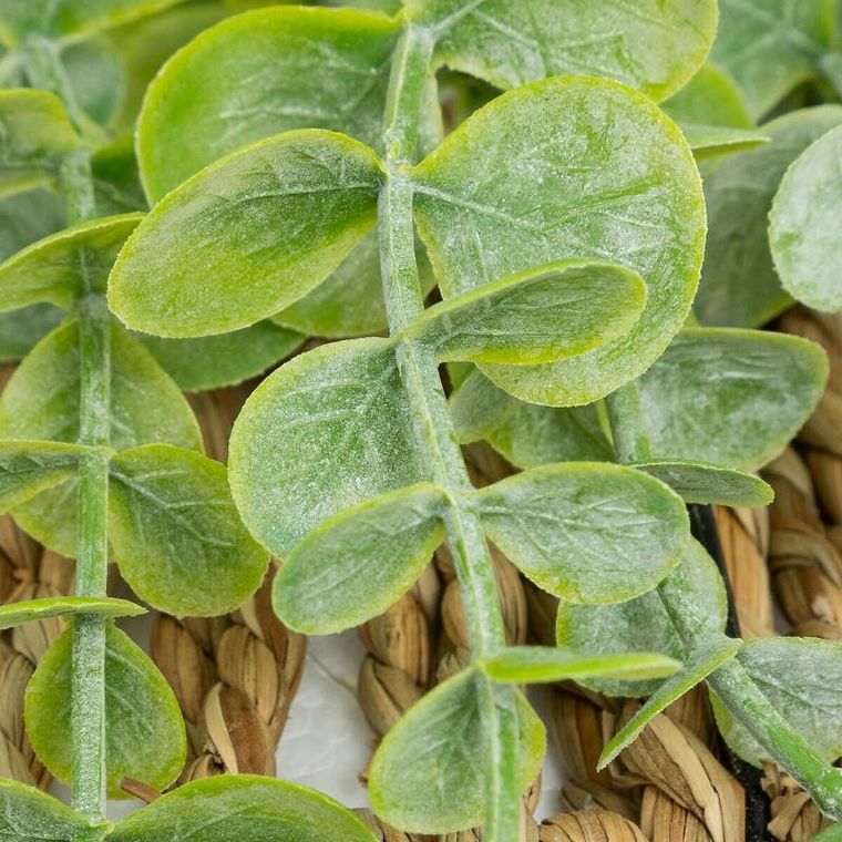 Atmosphera, sztuczny Eukaliptus w plecionej doniczce, 70 cm