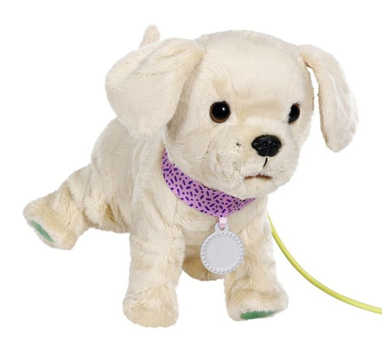 Baby Born, My dog Lucky, piesek na smyczy, maskotka z akcesoriami