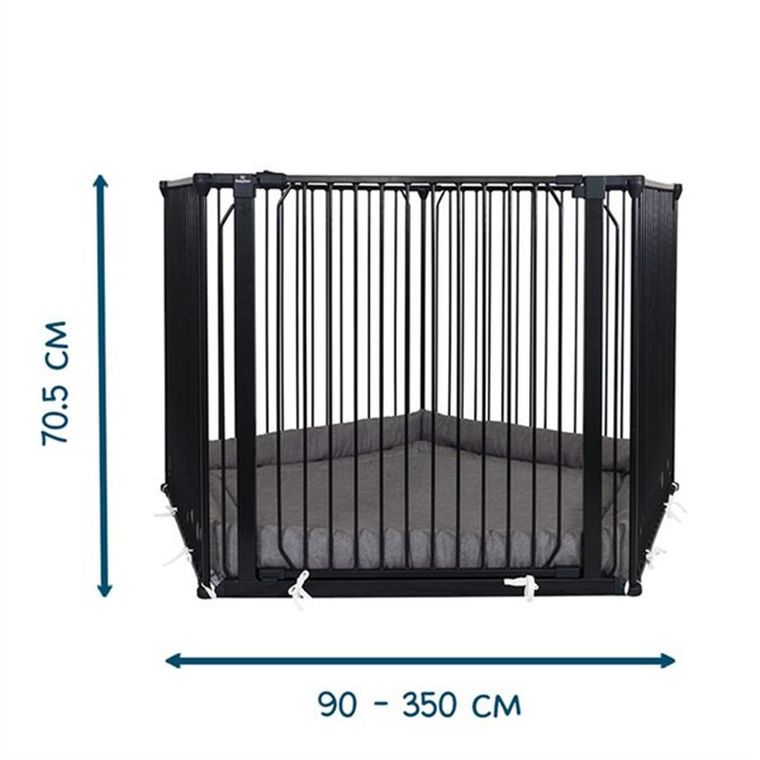 Baby Dan, Carl Pentagon, kojec, czarny