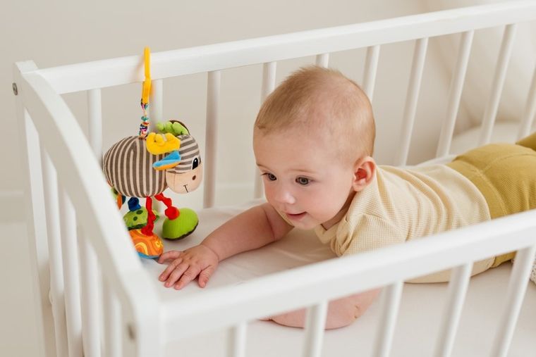 Balibazoo, Łoś Alek, zawieszka z wibracją