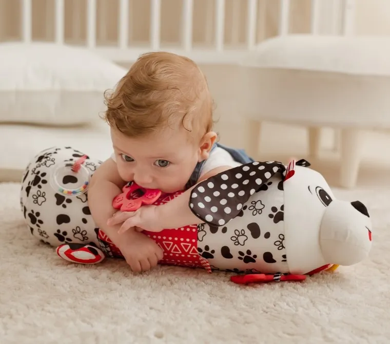 Balibazoo, Piesek Pedro, maskotka wałek sensoryczna