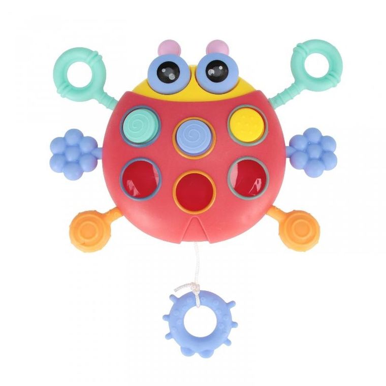 Bam Bam, zabawka sensoryczna, biedronka