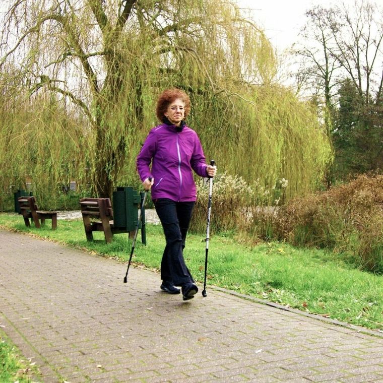 Best Sporting, kije do nordic walking, 2-sekwencje, czarne