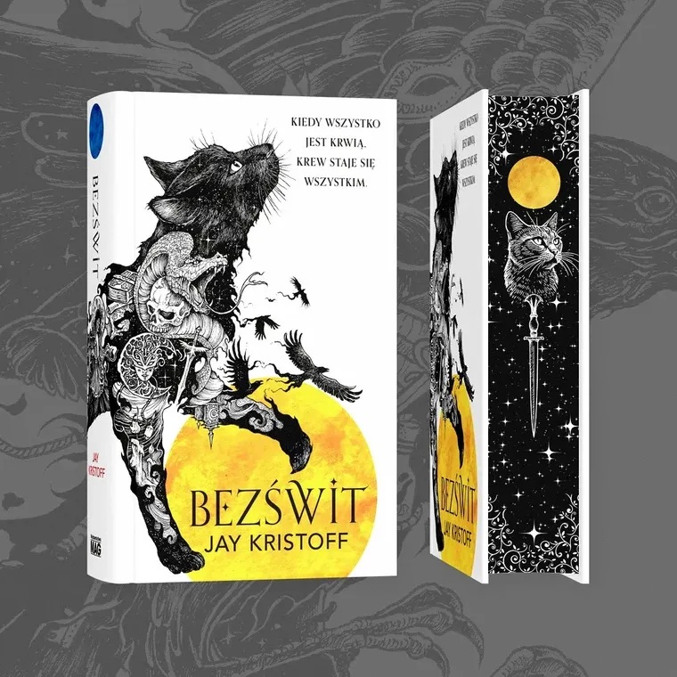 Bezświt. Seria Kroniki Nibynocy. Księga 3 (ilustrowane brzegi)