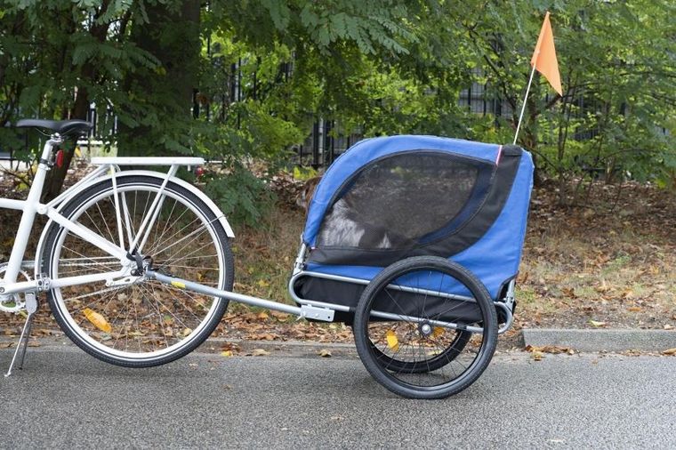 Bicycle Gear, przyczepka rowerowa dla zwierząt, do 40 kg