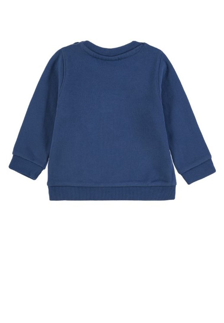 Bluza chłopięca, niebieska, niedźwiedź, Tom Tailor