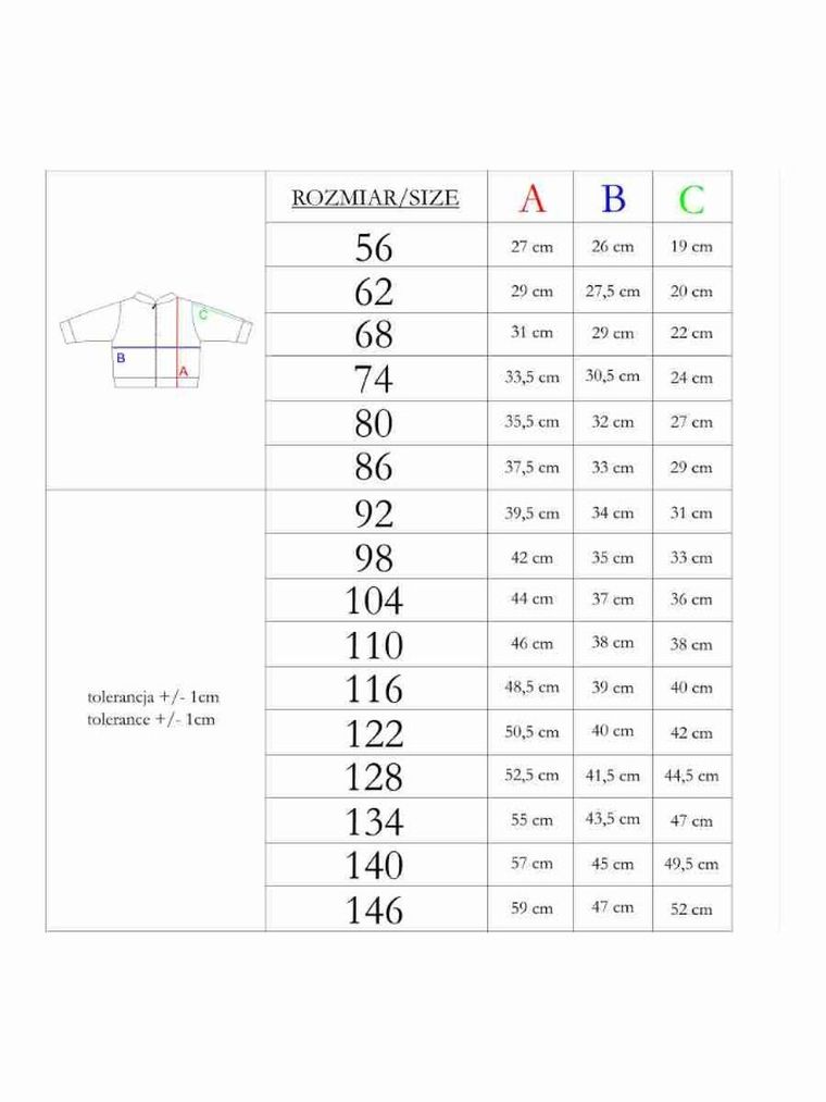 Bluza chłopięca, rozpinana, szara, Nicol