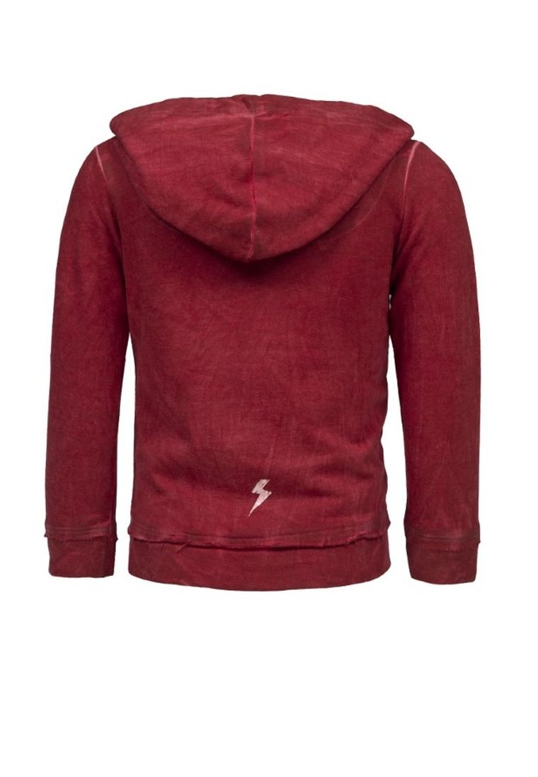 Bluza chłopięca z kapturem, czerwona, Lief