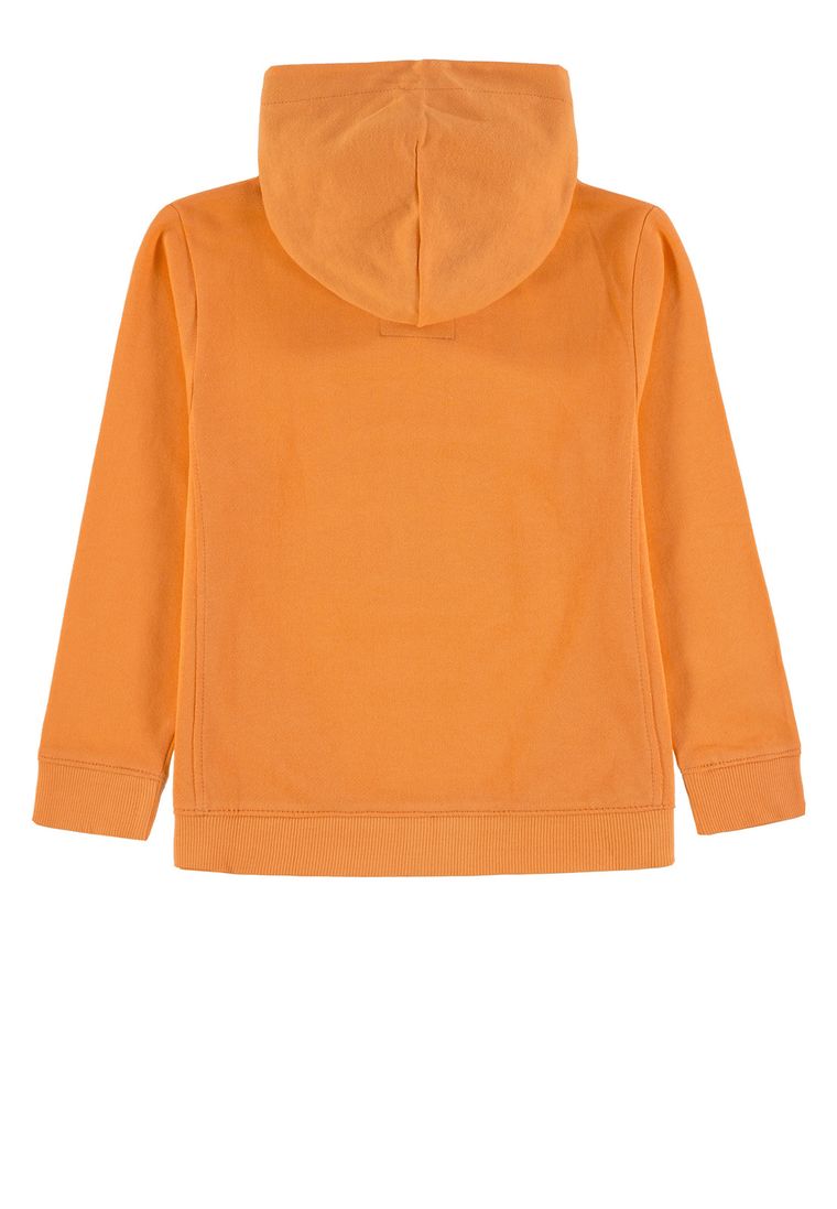 Bluza chłopięca z kapturem, pomarańczowa, Tom Tailor