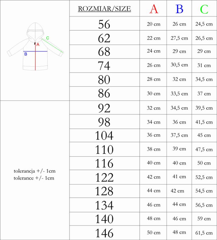 Bluza chłopięca z kapturem, rozpinana, szara, Nicol