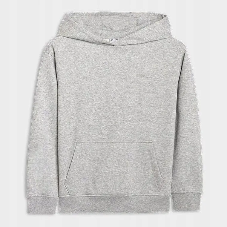 Bluza chłopięca z kapturem, szara, 4F