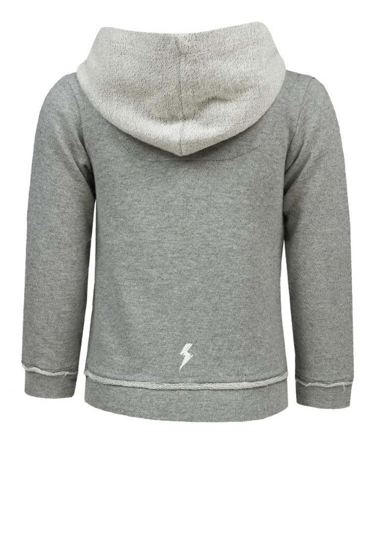 Bluza chłopięca z kapturem, szara, Lief