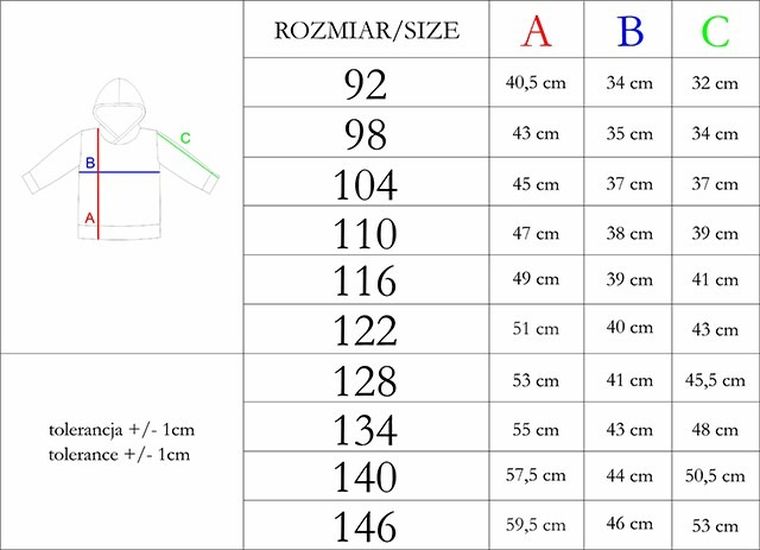 Bluza chłopięca z kapturem, szara, Nicol