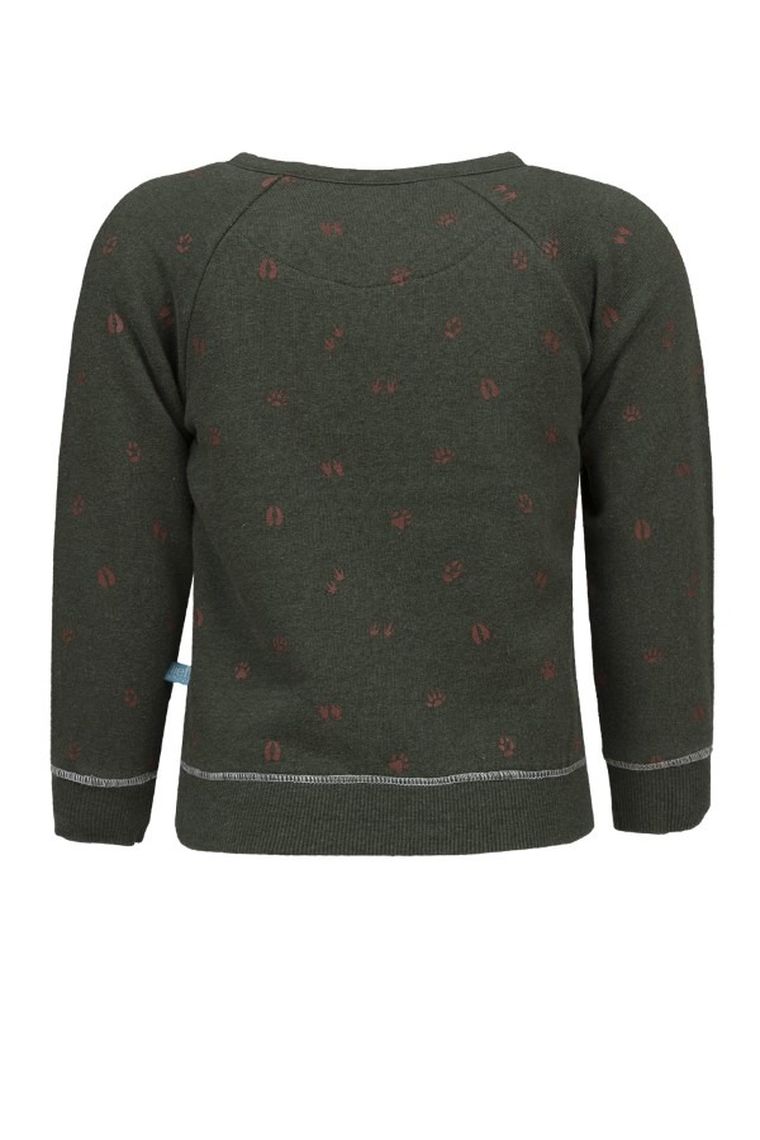 Bluza chłopięca, zielona, Lief