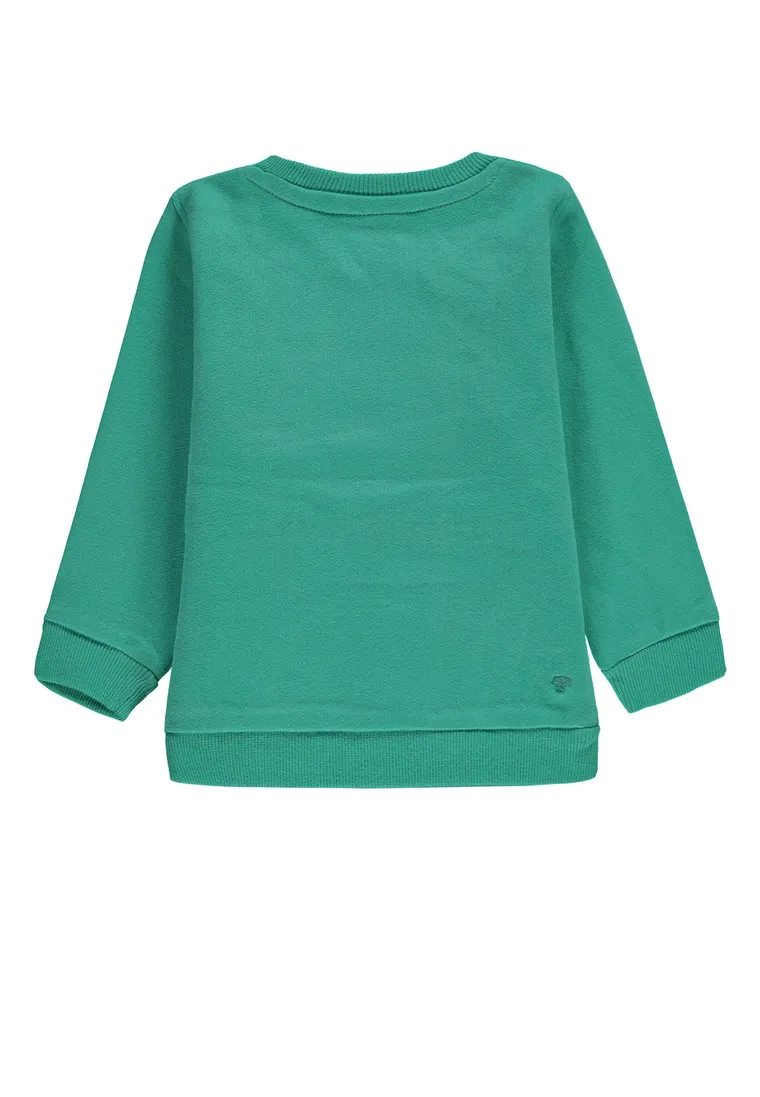 Bluza chłopięca, zielona, Tom Tailor