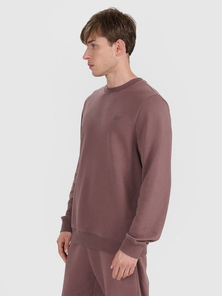 Bluza męska, brązowa, 4F