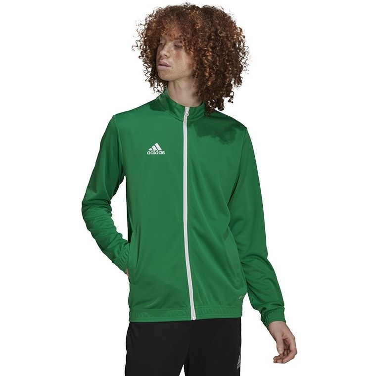 Bluza męska, rozpinana, zielona, Adidas Entrada 22 Track Jacket