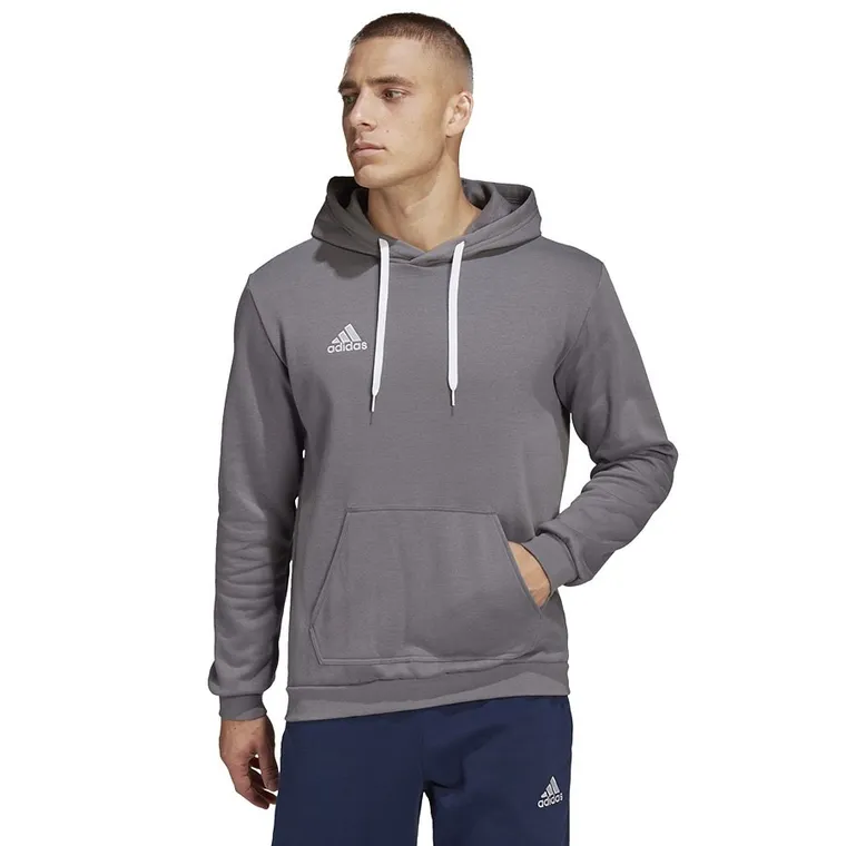 Bluza męska z kapturem, szara, Adidas Entrada 22 Hoody