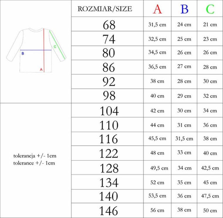 Bluzka chłopięca z długim rękawem, zielona, Nicol