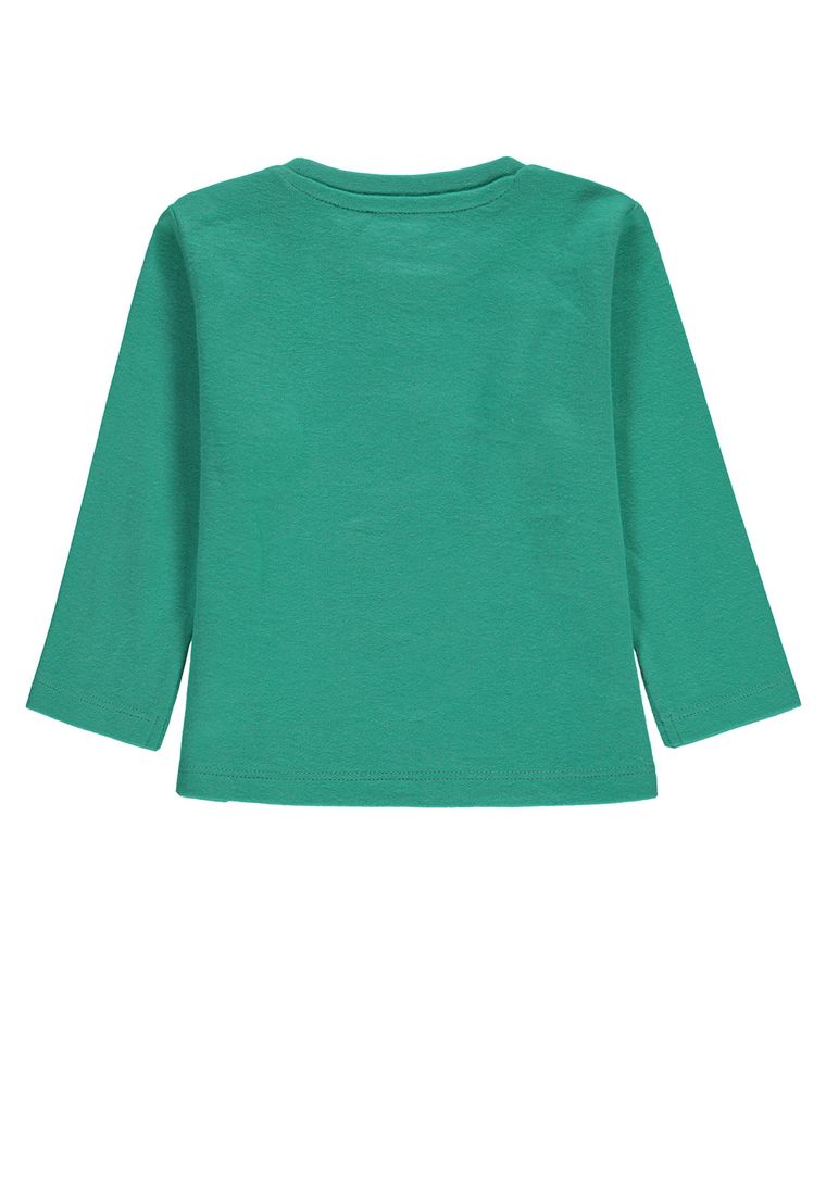 Bluzka chłopięca z długim rękawem, zielona, Tom Tailor