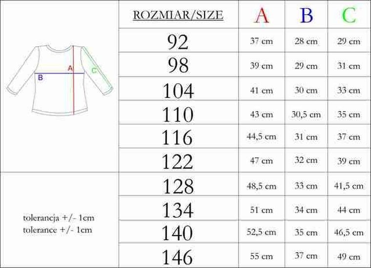 Bluzka dziewczęca z długim rękawem, szara, Nicol