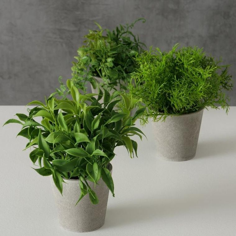 Boltze Home, Fern, sztuczna roślina w cementowej doniczce, 17 cm