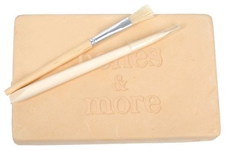 Bones&More, wykopalisko na kamieniu, szkielet dizozaura