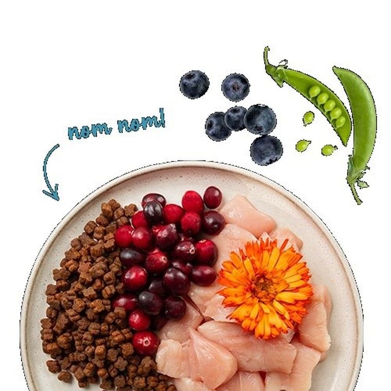 Bosch, Sanabelle, Kitten, kurczak, sucha karma dla kotów, 2 kg