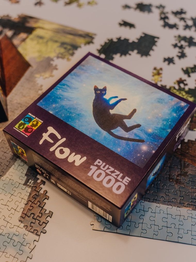 Brain Games, Flow, Black Cat, puzzle, 1000 elementów