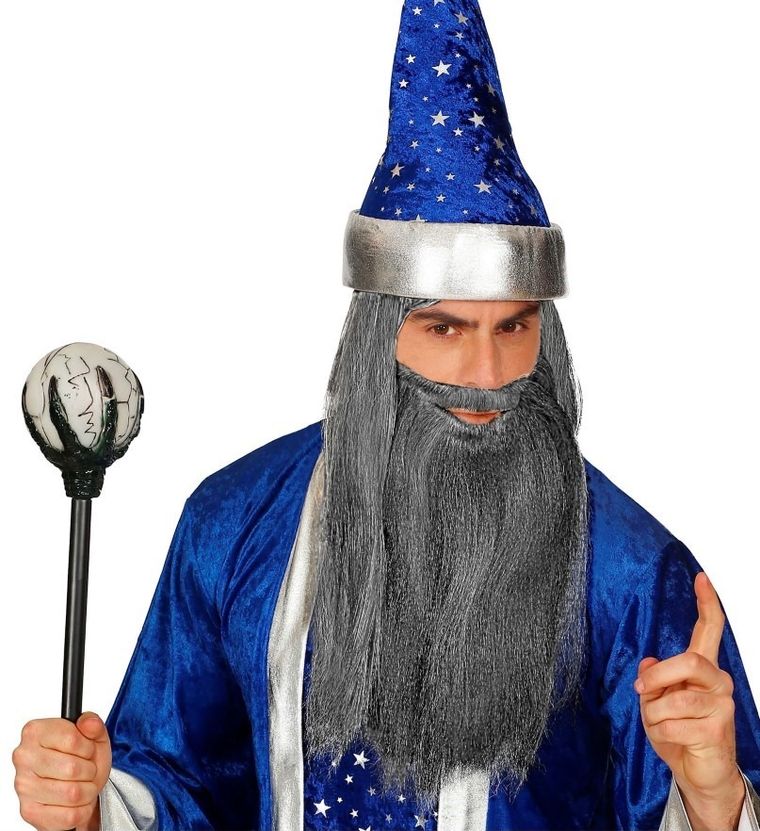 Broda z wąsami, długa, siwa