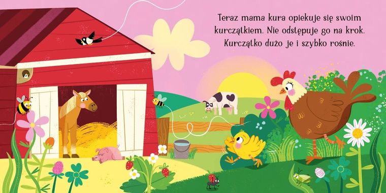 Było sobie jajko