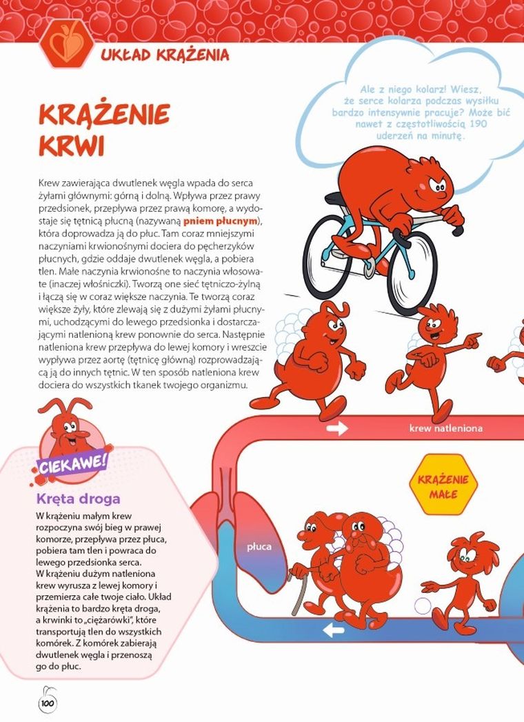 Było sobie życie. Encyklopedia dla dzieci. Tajemnice ludzkiego ciała