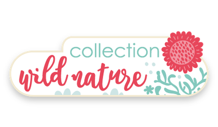 Canpol babies, Wild Nature, smoczek uspokajający, silikonowy, symetryczny, 6-18m, turkusowy