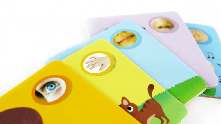 Carotina, Ciało człowieka, puzzle edukacyjne