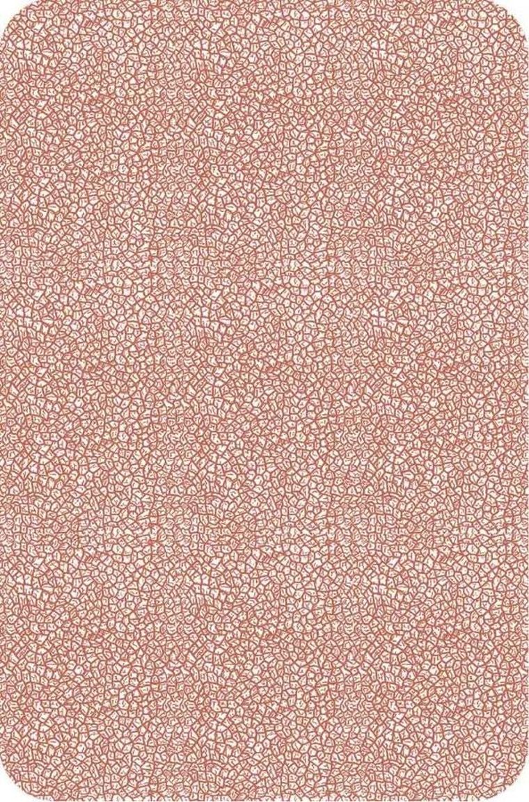 Cartamundi, A E Waite tarot Premium, karty do tarota