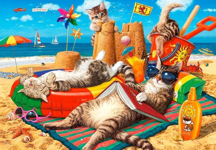 Castor, Koty na wakacjach, puzzle, 1000 elementów