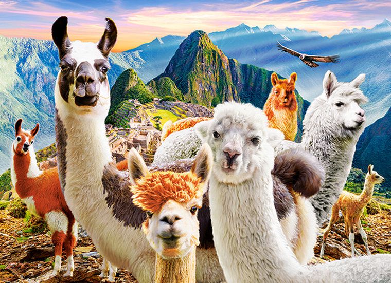 Castor, Llamas Selfie, puzzle, 200 elementów