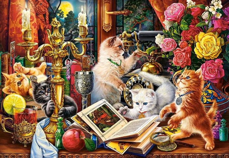 Castor, Wizard Kittens, puzzle, 1000 elementów