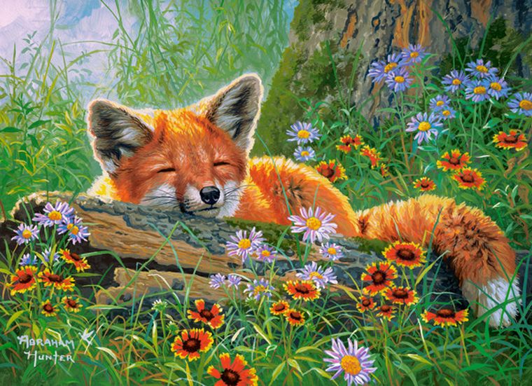 Castorland, Foxy Dreams, puzzle, 100 elementów