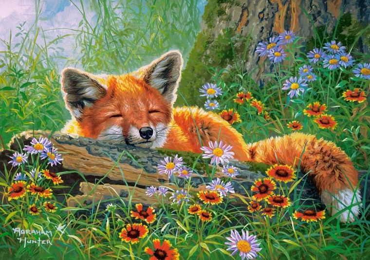 Castorland, Foxy Dreams, puzzle, 500 elementów