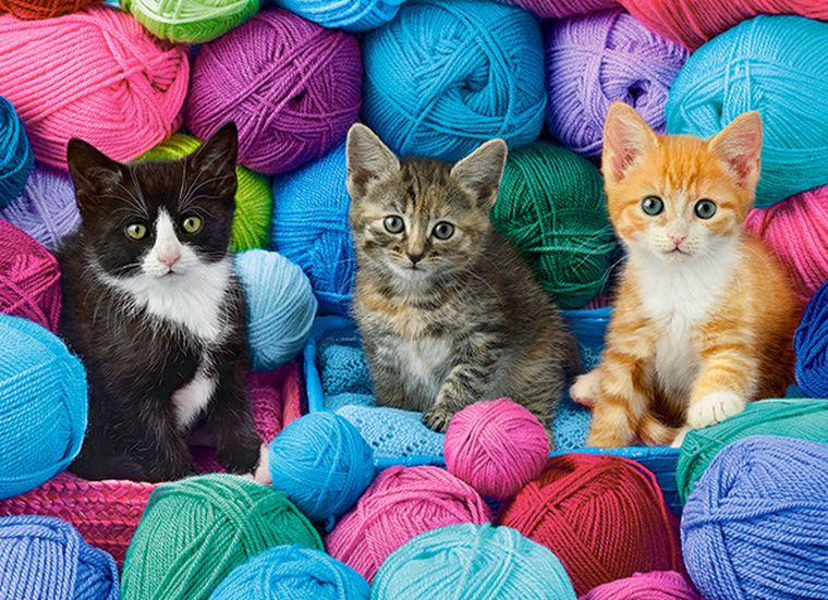 Castorland, Kittens In Yarn Store, puzzle, 300 elementów