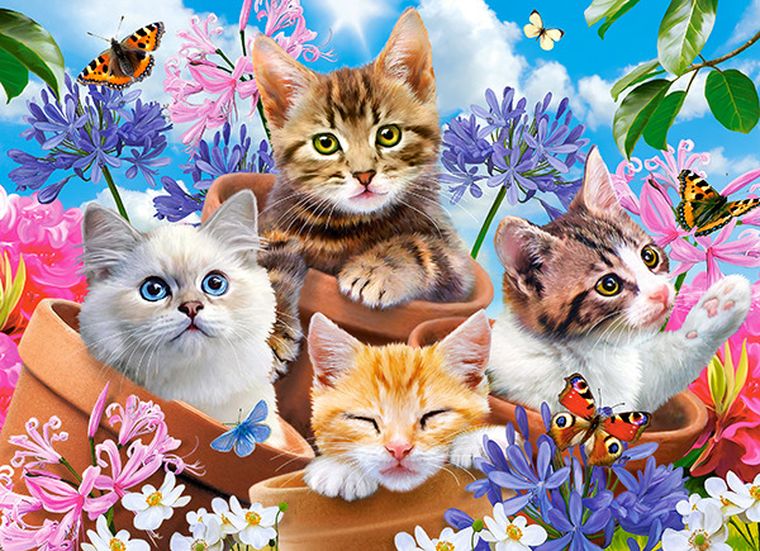 Castorland, Kittens with flowers, puzzle, 70 elementów