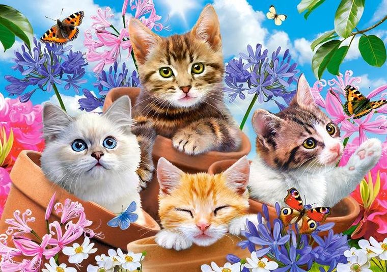 Castorland, Kittens with fowers, puzzle, 500 elementów