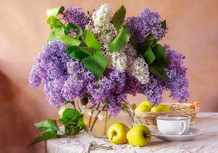 Castorland, Lilac Still Life, puzzle, 500 elementów
