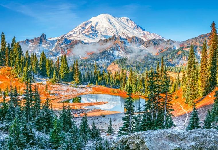 Castorland, Mount Rainier National Park USA, puzzle, 1000 elementów